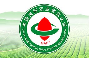 中國良好農業規范GAP認證